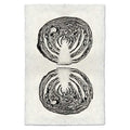 Black and white cabbage cross-section art print on textured handmade Nepalese paper.