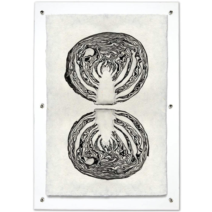 Black and white cabbage cross-section art print on handmade Nepalese paper, mounted on clear acrylic.