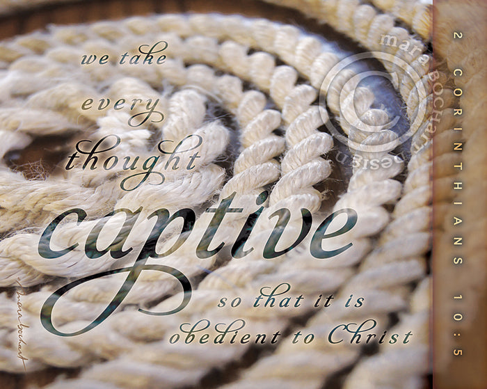 Captive - premium canvas