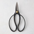 Carbon steel garden shears with dark, curved handles and a brass pivot.