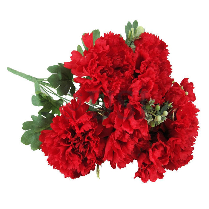 Carnation Flower Bush x10, 18in, Red
