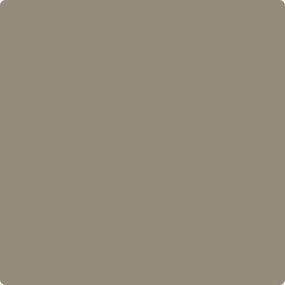 Shop the paint color CSP-205 Cathedral Gray by Benjamin Moore at Anderson Paint in Ann Arbor, MI.