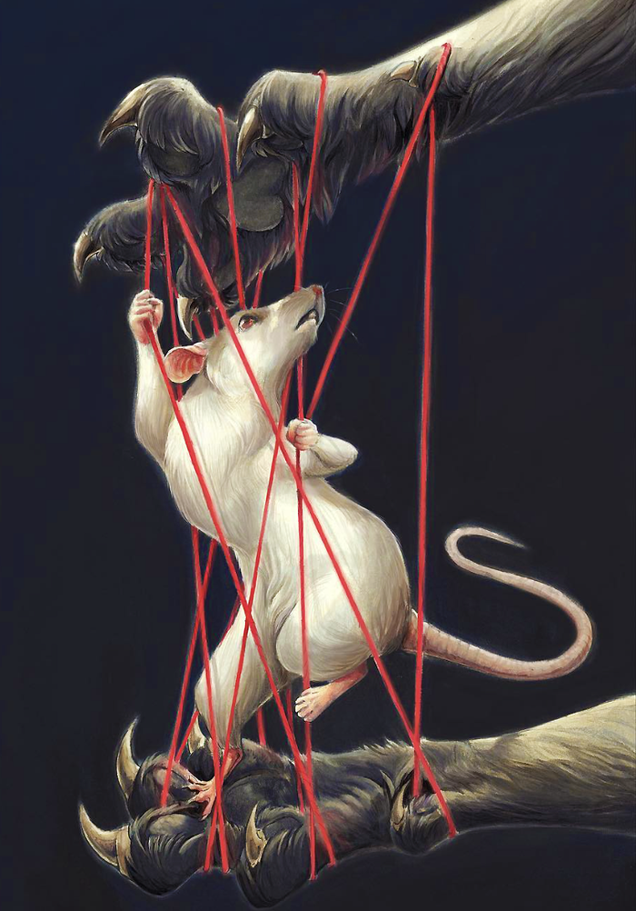 Cats Cradle