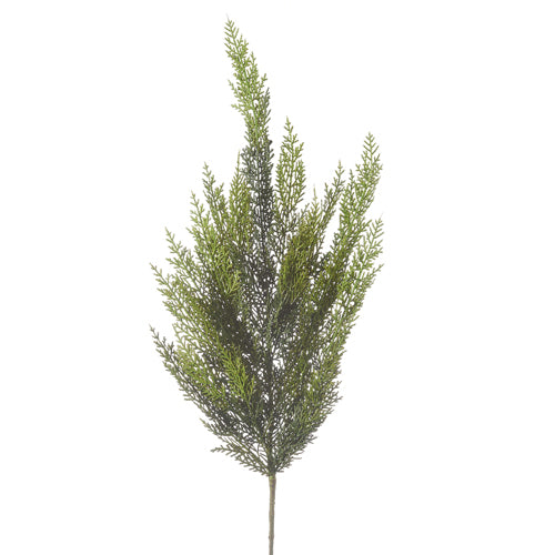Cedar Spray Pick
