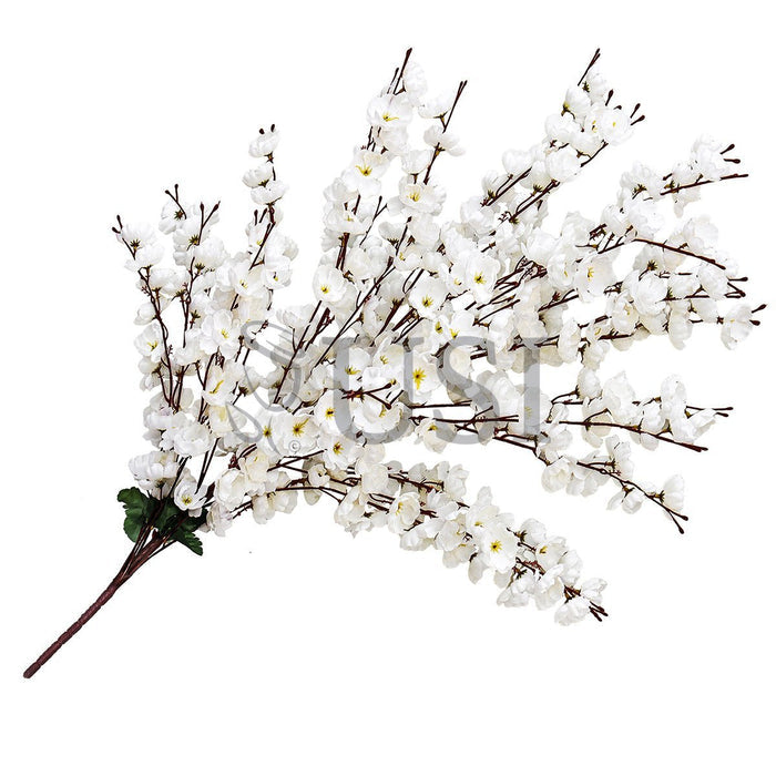Cherry Blossom Flower Bush x30, 39in, Cream White