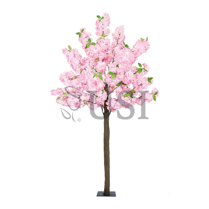 Cherry Blossom Flower Tree Triple Bloom, 6ft, Pink