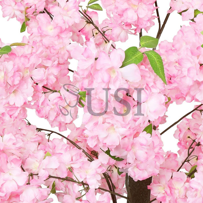 Cherry Blossom Flower Tree Triple Bloom, 6ft, Pink