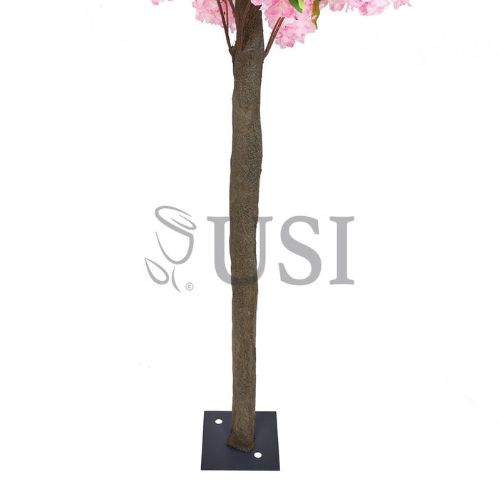 Cherry Blossom Flower Tree Triple Bloom, 6ft, Pink