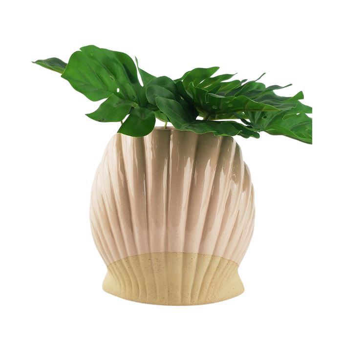 Clam Shell Planter Pink 17cm