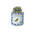 Cocktail Olives Can Planter Blue 10cm
