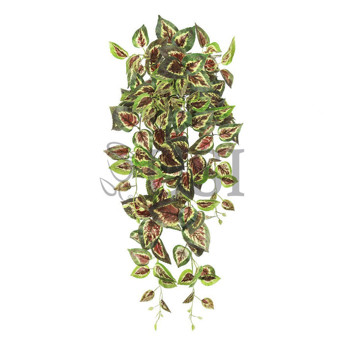 Coleus Ivy Hanging Greenery Bush, 32in, Green Red