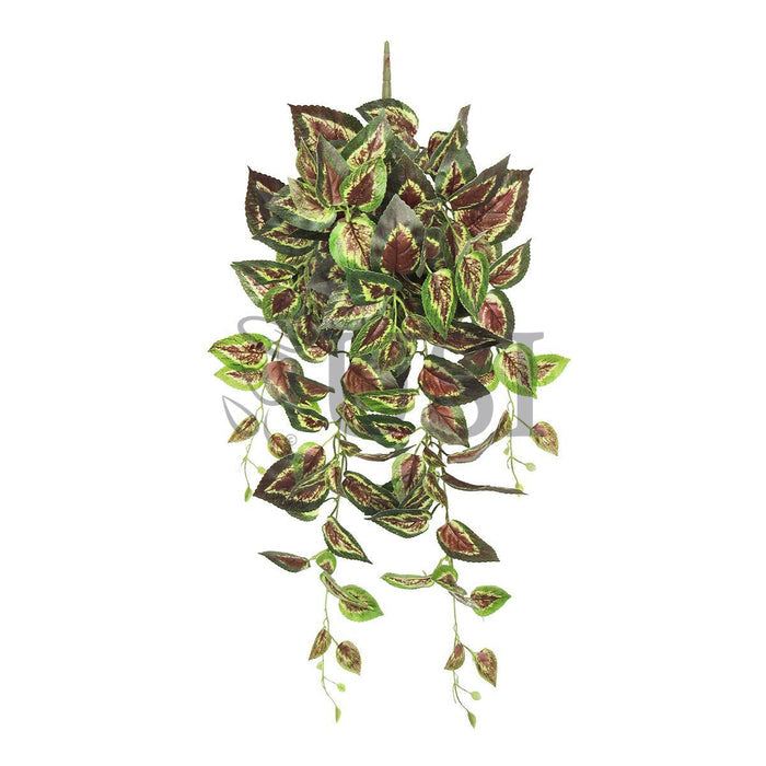 Coleus Ivy Hanging Greenery Bush, 32in, Green Red
