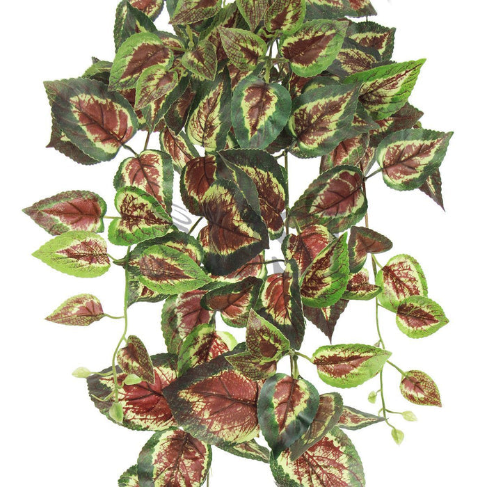 Coleus Ivy Hanging Greenery Bush, 32in, Green Red