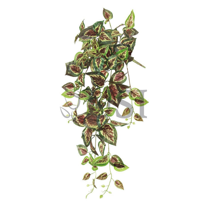 Coleus Ivy Hanging Greenery Bush, 32in, Green Red