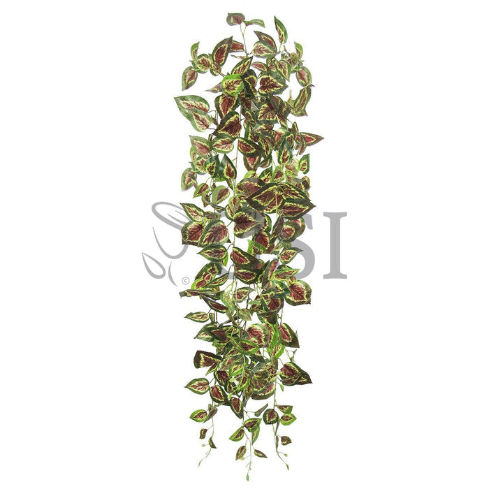 Coleus Ivy Hanging Greenery Bush, 51in, Green Red