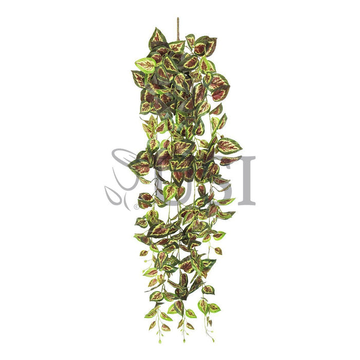 Coleus Ivy Hanging Greenery Bush, 51in, Green Red