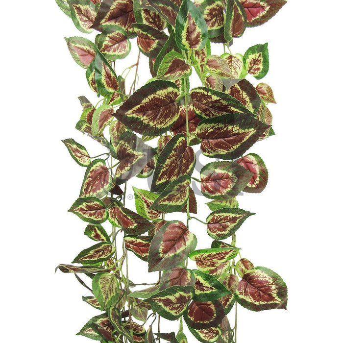 Coleus Ivy Hanging Greenery Bush, 51in, Green Red