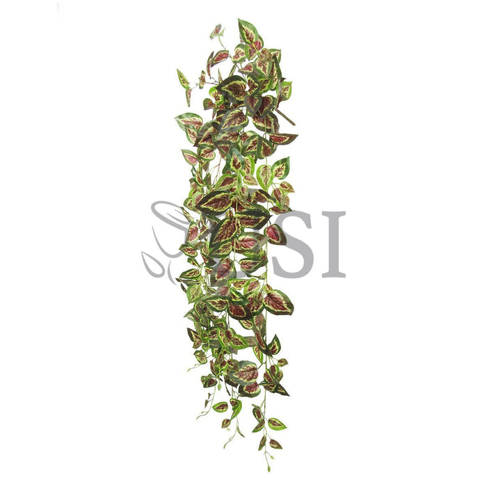 Coleus Ivy Hanging Greenery Bush, 51in, Green Red