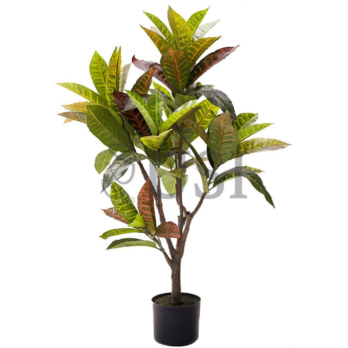 Croton Leaf Plant Potted, 3.5ft, Natural
