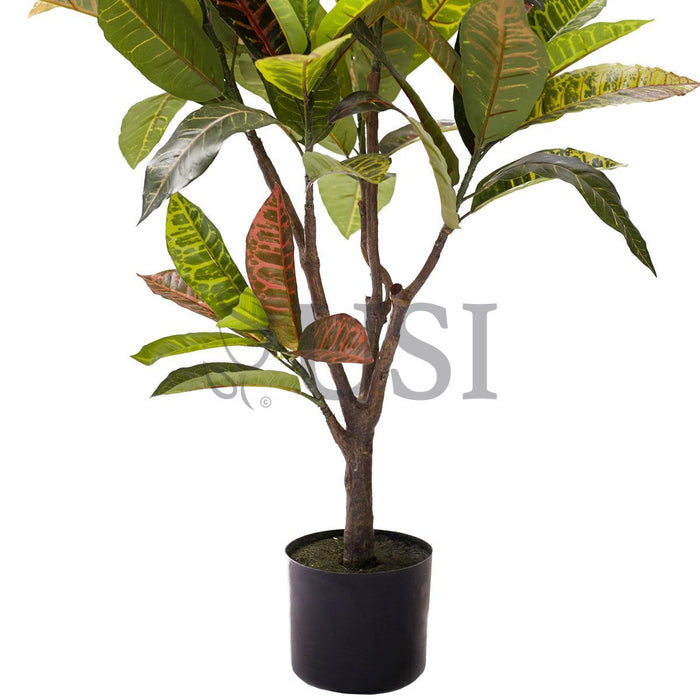 Croton Leaf Plant Potted, 3.5ft, Natural