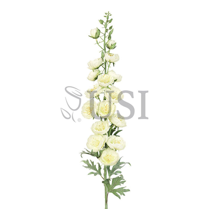 Delphinium Hybrid Flower Spray, 36in, Cream White