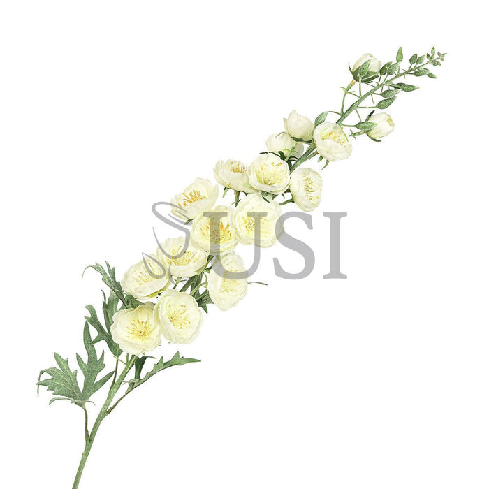 Delphinium Hybrid Flower Spray, 36in, Cream White