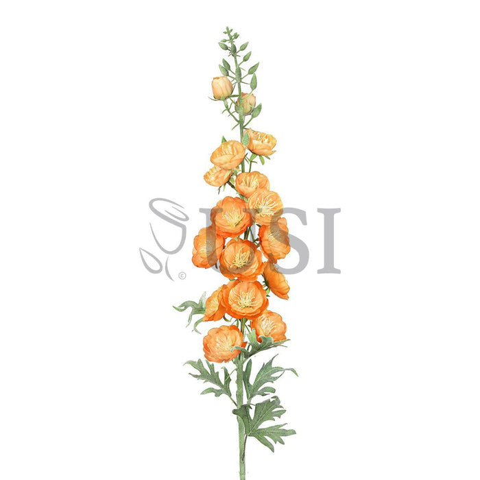 Delphinium Hybrid Flower Spray, 36in, Orange