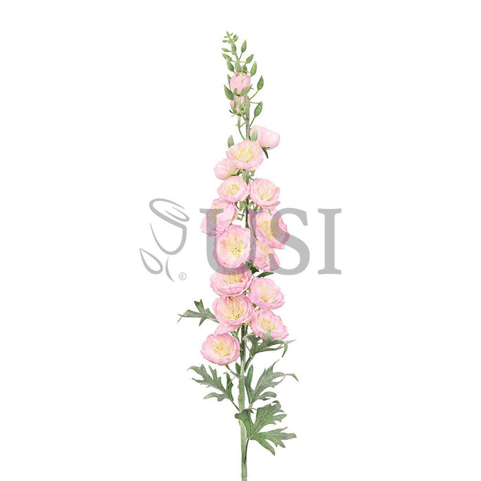 Delphinium Hybrid Flower Spray, 36in, Pink
