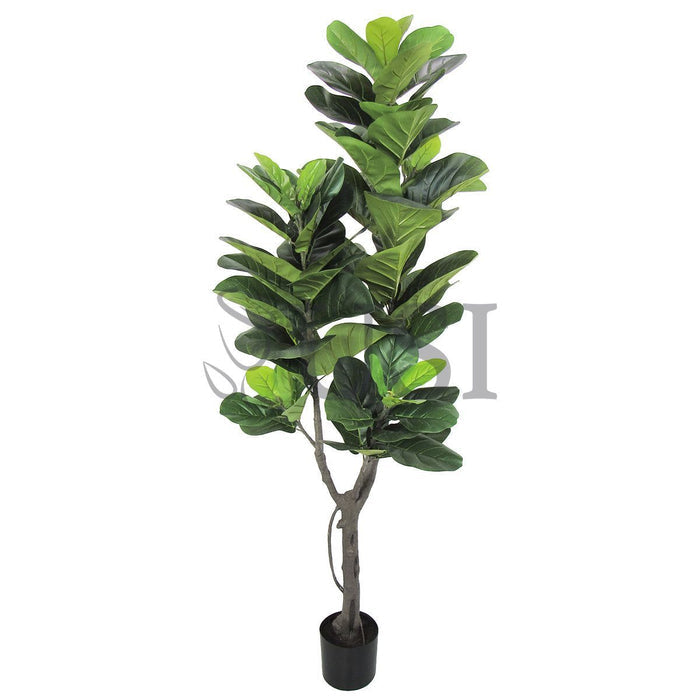 Deluxe Fiddle Leaf Fig Tree Real Touch Potted, 5.75ft, Green