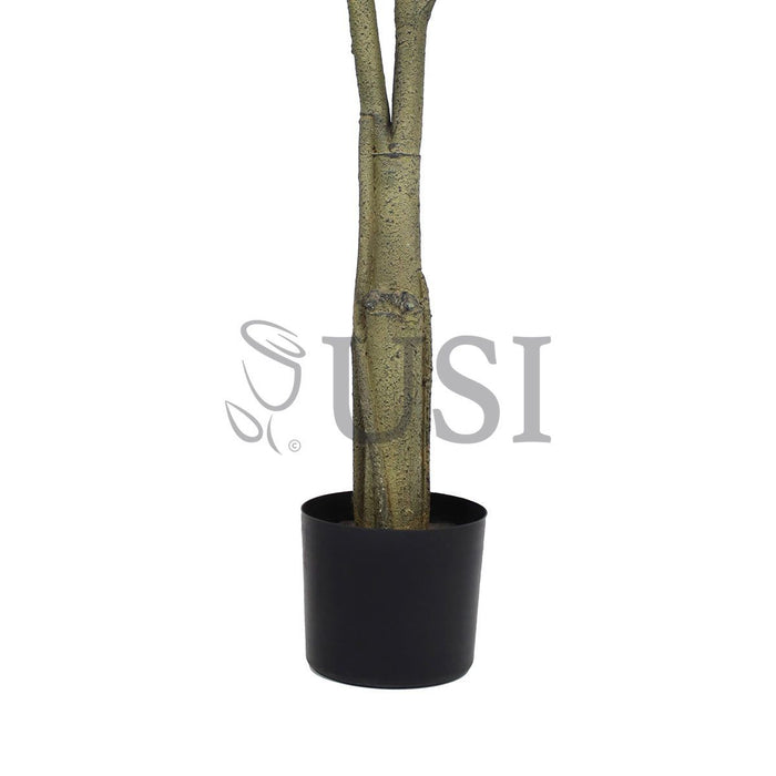 Deluxe Fiddle Tree Potted, 6ft, Green