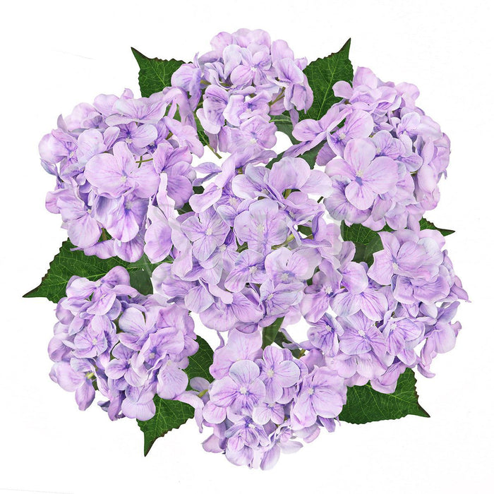 Deluxe Hydrangea Flower Bush Natural Look x7, 20in, Purple
