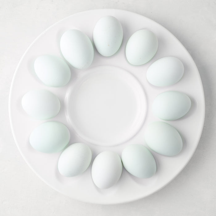 White 11"Dia ceramic Deviled Egg Serving Platter with a low profile, holding twelve light blue eggs.