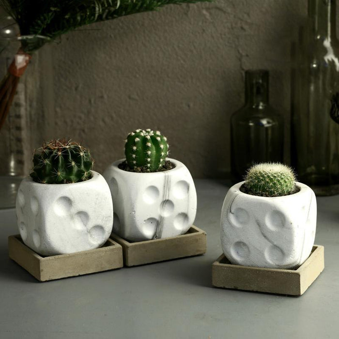 Dice Planter Silicone Mold - madmolds - Dice Planter