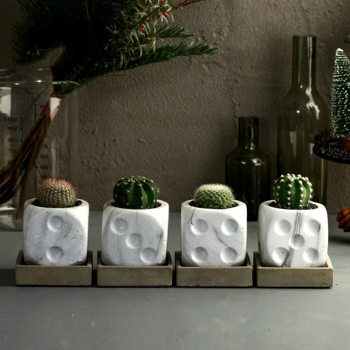 Dice Planter Silicone Mold - madmolds - Dice Planter