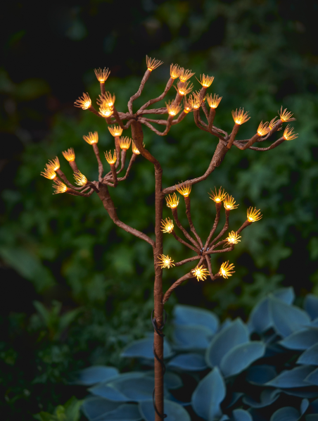 Display Model Wild Fennel Branch