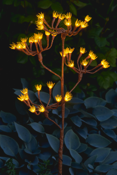 Display Model Wild Fennel Branch