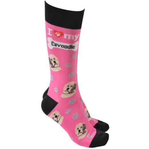 Cavoodle Socks Pink