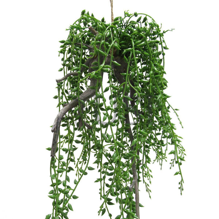 Donkeytail Berry Succulent on Branch Hanging Airplant, 20.5in, Green
