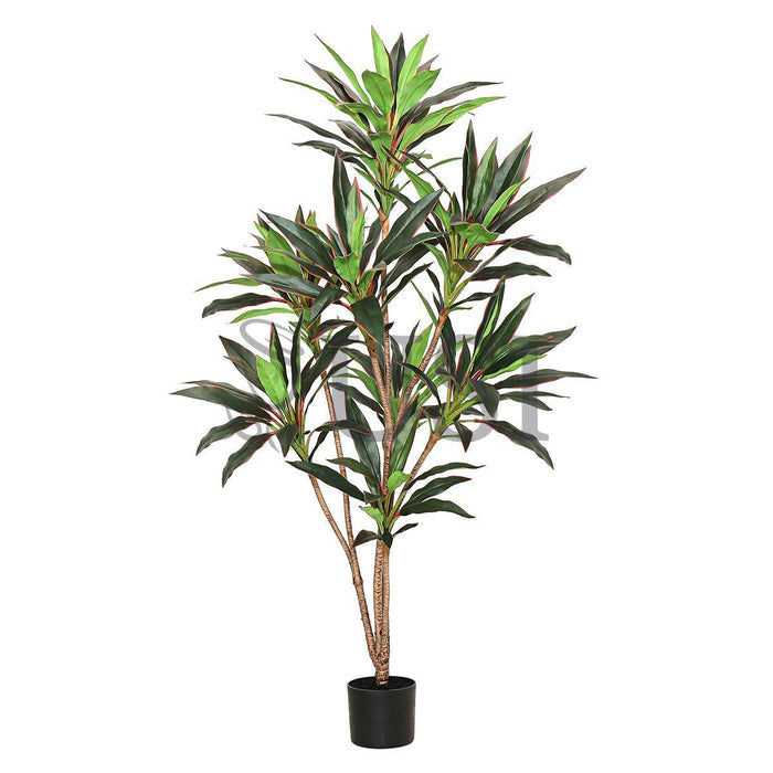 Dracaena Tree Real Touch Potted, 5ft, Green Red