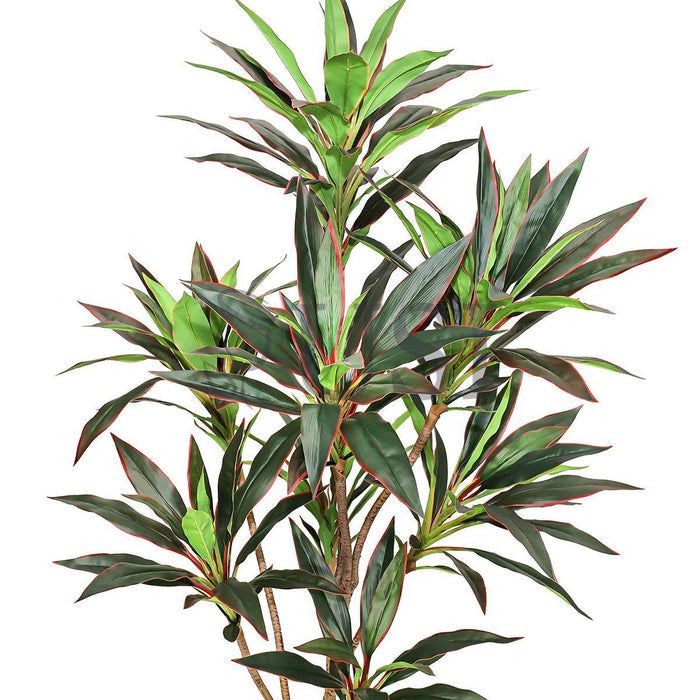Dracaena Tree Real Touch Potted, 5ft, Green Red