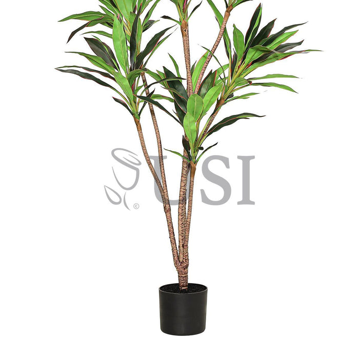 Dracaena Tree Real Touch Potted, 5ft, Green Red