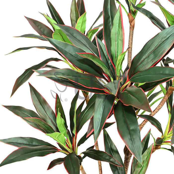 Dracaena Tree Real Touch Potted, 5ft, Green Red