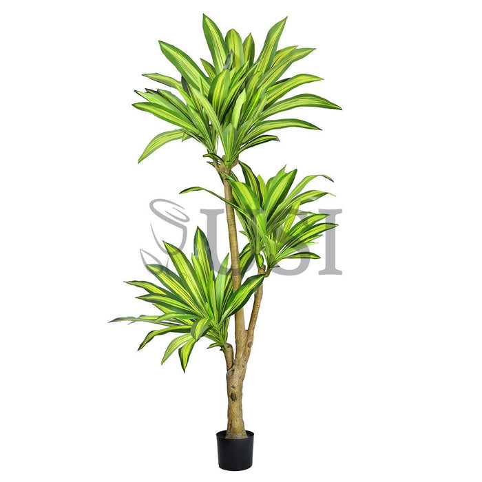 Dracaena Tree Real Touch Potted, 6ft, Green