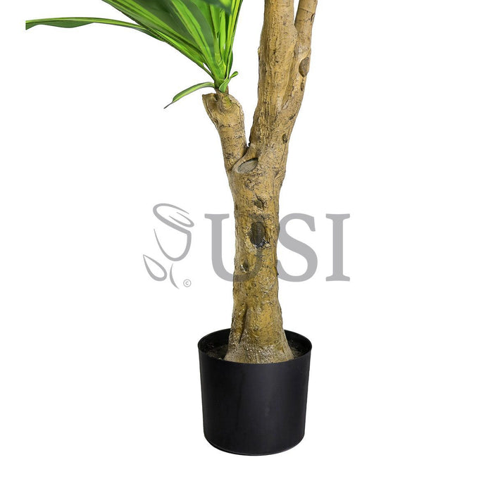 Dracaena Tree Real Touch Potted, 6ft, Green