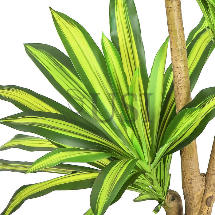 Dracaena Tree Real Touch Potted, 6ft, Green