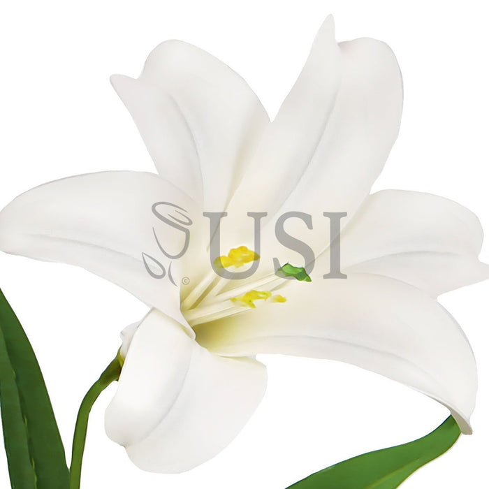Easter Lily Flower Bush EVA x7, 24in, Cream White