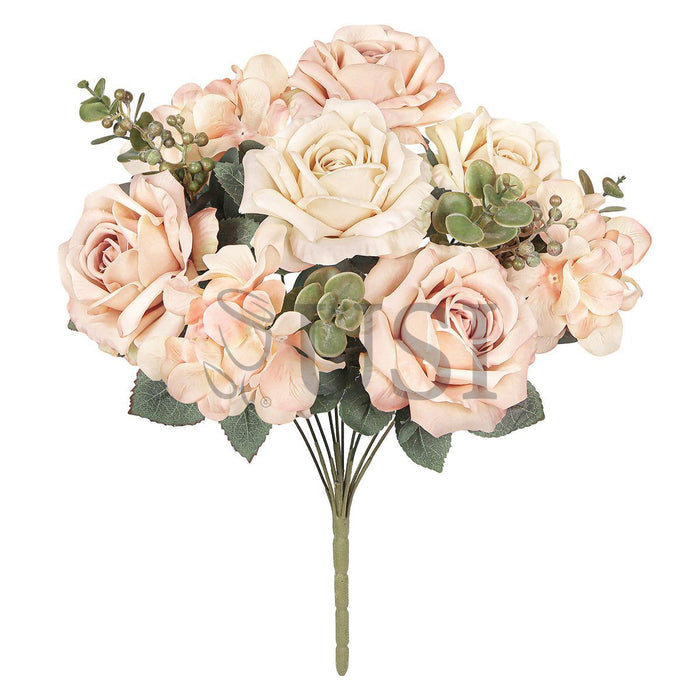 Elegant Mixed Rose Hydrangea Bush w Filler x10, 19in, Champagne Peach