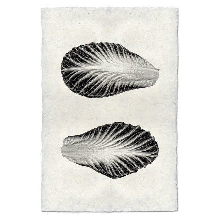 Endive handmade paper wall art print featuring two black and white endive leaves on textured paper.