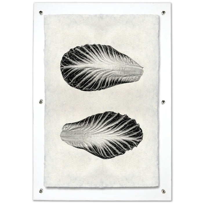 Endive handmade paper wall art print featuring two black and white endive leaves on textured paper, framed.