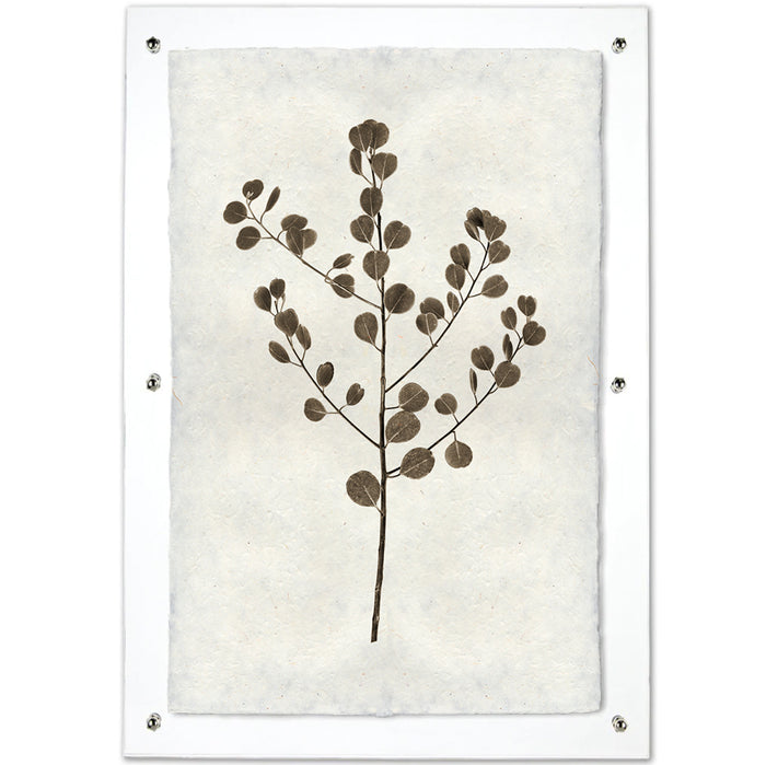 Eucalyptus #1 handmade Nepalese paper wall art print, brown botanical design on textured off-white paper.